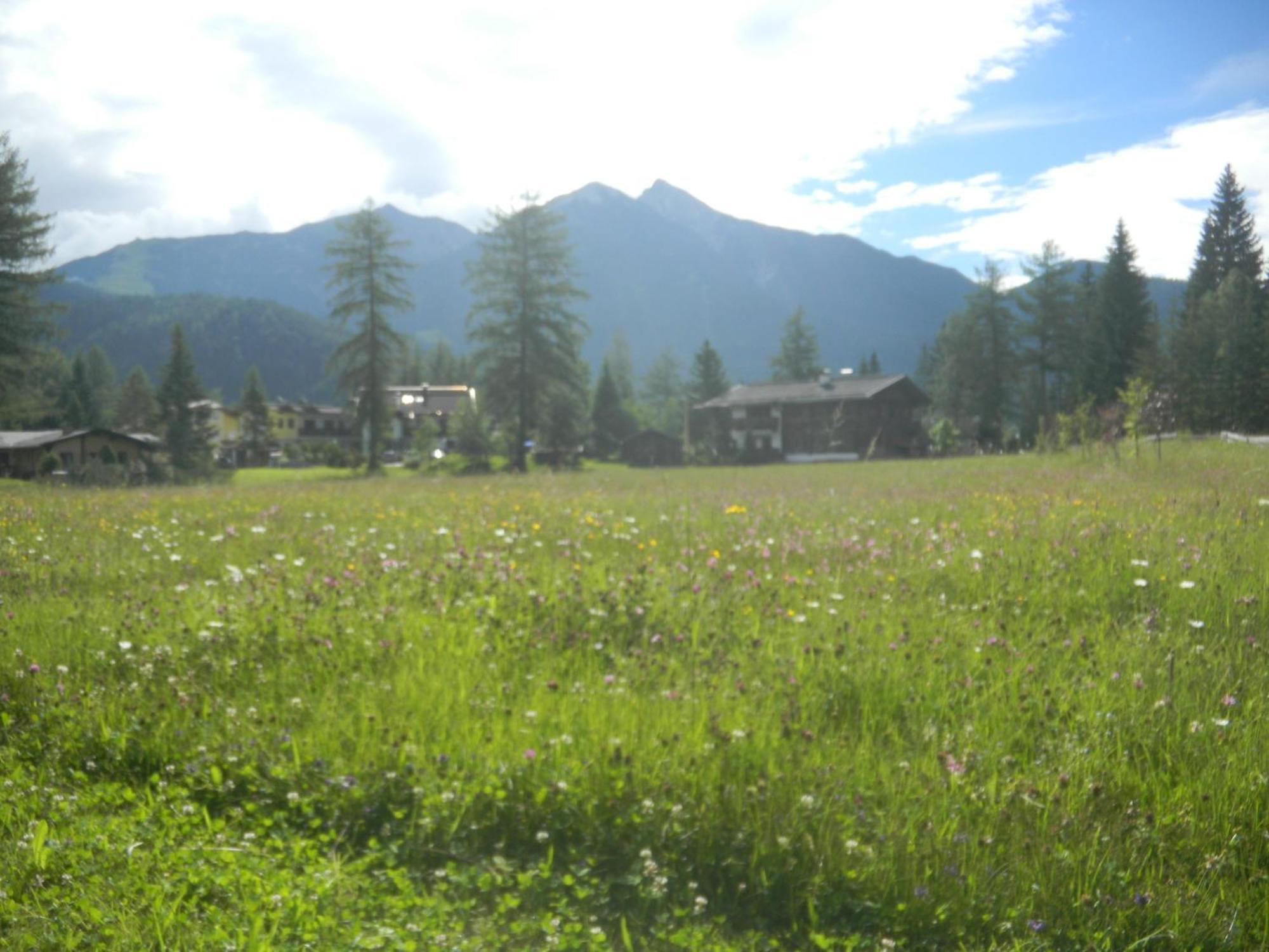 Landhaus Charlotte Am Geigenbuehel -Apartments Зеефельд в Тироле Экстерьер фото